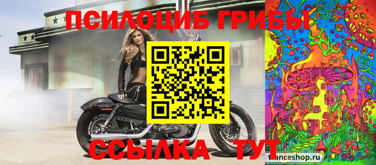 Костомукша  Псилоцибиновые грибы прущие грибы  Вход с VPN 